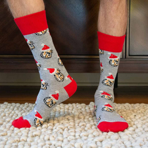 Men's Bulldog Santa Socks Socks The Royal Standard 