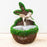 Moss Bunny Planter Easter Decorations The Royal Standard 