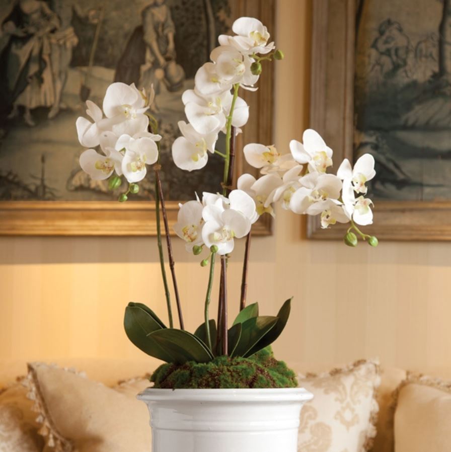 Phalaenopsis Orchid Drop-In 30" Floral RAZ 