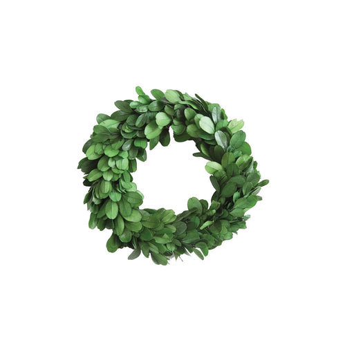 Preserved Boxwood Wreath - Small Home Decor Creative Co-Op 