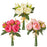 Real Touch Peano Bundle - White and Pinks Floral RAZ 