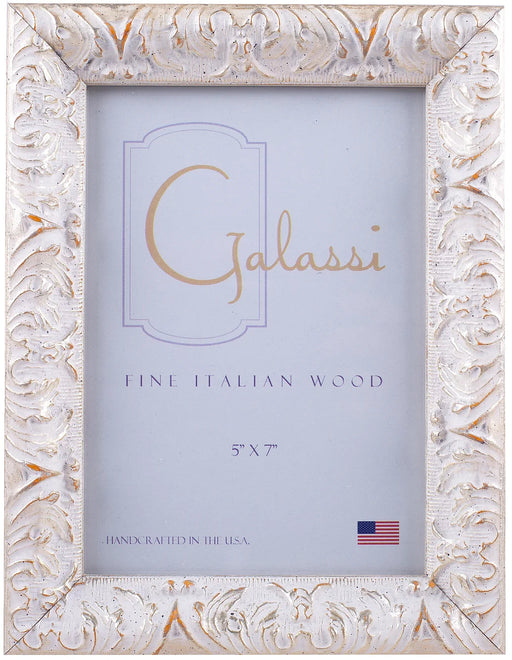 Silver Plume Photo Frames Picture Frames Galassi 