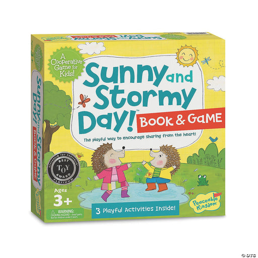 Sunny and Stormy Day Activity Toy Mind Wire 