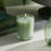 Votive Candle - Wild Mint & Eucalyptus Candle Nest 