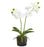 White Butterfly Faux Orchid in Moss Pot Floral Two's Company 