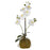 White Orchid with Moss Base Floral RAZ 